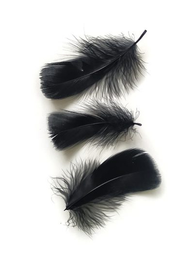 Пір’я чорне