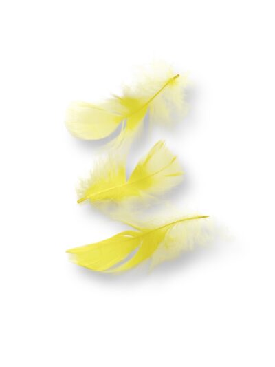 Пір’я жовте.