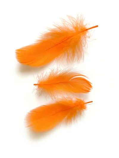 Пір’я помаранчеве.