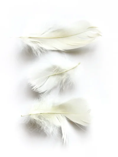 Пір’я кремове.